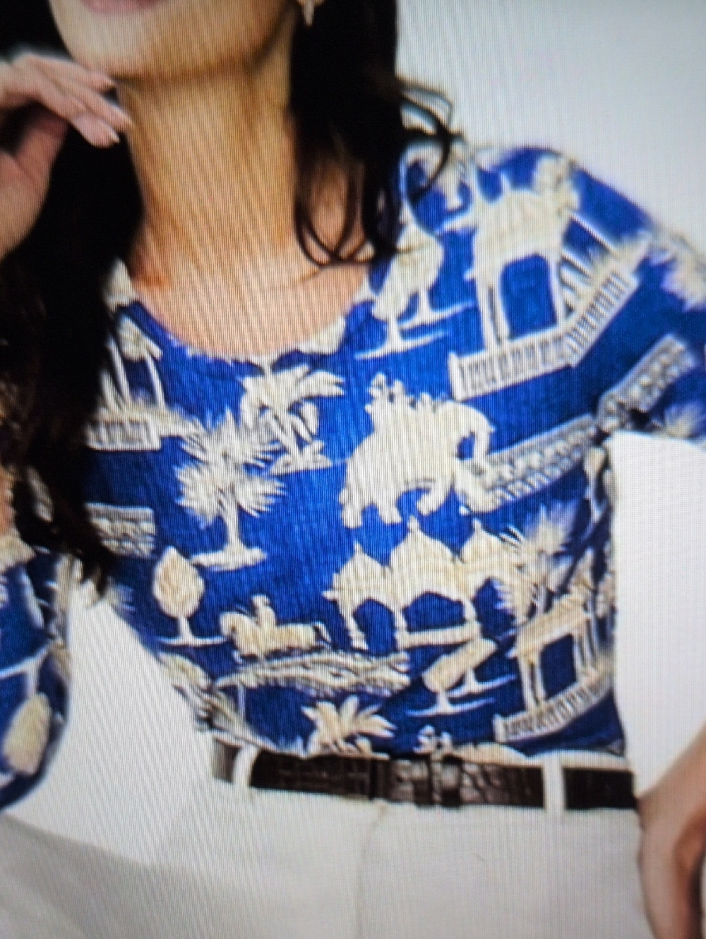 J. McLaughlin Desert Toile Catalina Cloth Top